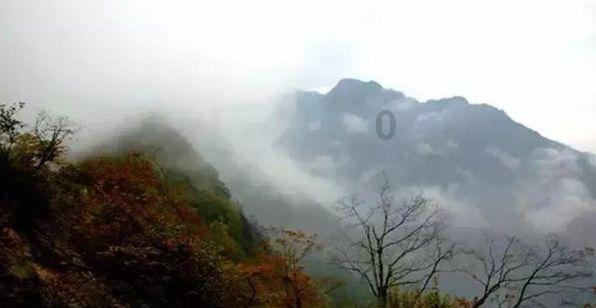 李玫瑾再发文道歉,这场因批评《繁花》引起的网暴,真的该停了